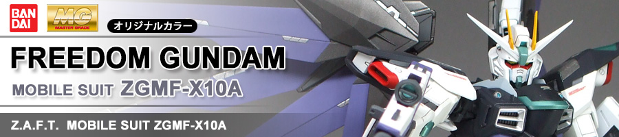 ZGMF-X10A FREEDOM GUNDAM